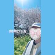 ヒメ日記 2026/04/04 22:48 投稿 向井ひとみ 五十路マダムエクスプレス船橋店(カサブランカグループ)