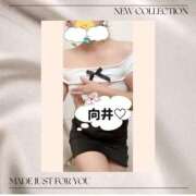 ヒメ日記 2026/04/08 23:10 投稿 向井ひとみ 五十路マダムエクスプレス船橋店(カサブランカグループ)