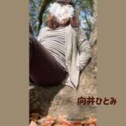 ヒメ日記 2026/04/30 22:10 投稿 向井ひとみ 五十路マダムエクスプレス船橋店(カサブランカグループ)