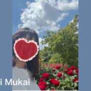 ヒメ日記 2026/05/13 23:50 投稿 向井ひとみ 五十路マダムエクスプレス船橋店(カサブランカグループ)