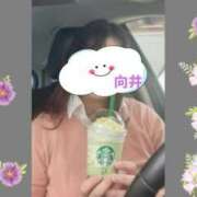 ヒメ日記 2026/06/09 22:46 投稿 向井ひとみ 五十路マダムエクスプレス船橋店(カサブランカグループ)