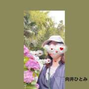 ヒメ日記 2026/06/18 22:18 投稿 向井ひとみ 五十路マダムエクスプレス船橋店(カサブランカグループ)