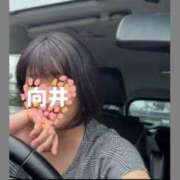 ヒメ日記 2026/06/26 21:54 投稿 向井ひとみ 五十路マダムエクスプレス船橋店(カサブランカグループ)