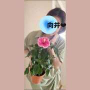 ヒメ日記 2026/07/10 22:48 投稿 向井ひとみ 五十路マダムエクスプレス船橋店(カサブランカグループ)