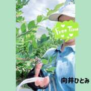 ヒメ日記 2026/07/19 21:54 投稿 向井ひとみ 五十路マダムエクスプレス船橋店(カサブランカグループ)