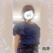 ヒメ日記 2026/07/29 22:38 投稿 向井ひとみ 五十路マダムエクスプレス船橋店(カサブランカグループ)