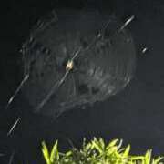 いぶ おっはよー 熟女家 東大阪店（布施・長田）