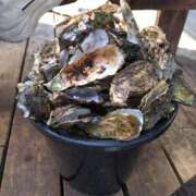 ヒメ日記 2025/01/21 10:00 投稿 リセ 信州無限GP 総合受付 諏訪店