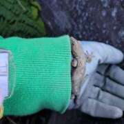 ヒメ日記 2025/01/25 10:00 投稿 リセ 信州無限GP 総合受付 諏訪店