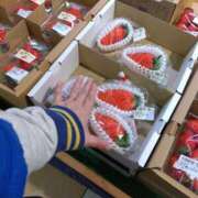 ヒメ日記 2025/01/26 10:00 投稿 リセ 信州無限GP 総合受付 諏訪店