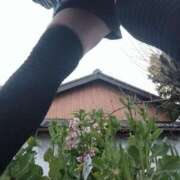 ヒメ日記 2025/03/25 10:00 投稿 リセ 信州無限GP 総合受付 諏訪店