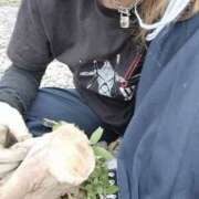 ヒメ日記 2025/05/05 10:00 投稿 リセ 信州無限GP 総合受付 諏訪店