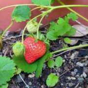 ヒメ日記 2025/05/27 10:00 投稿 リセ 信州無限GP 総合受付 諏訪店