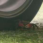 ヒメ日記 2025/07/01 10:00 投稿 リセ 信州無限GP 総合受付 諏訪店