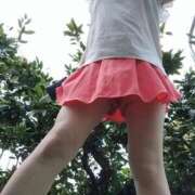 ヒメ日記 2025/09/02 10:00 投稿 リセ 信州無限GP 総合受付 諏訪店