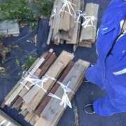 ヒメ日記 2025/12/09 10:00 投稿 リセ 信州無限GP 総合受付 諏訪店