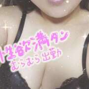 ヒメ日記 2025/04/02 18:26 投稿 すみれ　美人濡れ妻 桃艶～ももいろ～