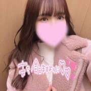 ヒメ日記 2025/02/09 23:31 投稿 ひかる 変態なんでも鑑定団