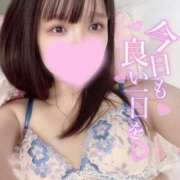 ヒメ日記 2025/02/18 16:46 投稿 ひかる 変態なんでも鑑定団