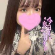 ヒメ日記 2025/04/12 14:46 投稿 ひかる 変態なんでも鑑定団