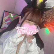 ヒメ日記 2025/07/27 18:16 投稿 ひかる 変態なんでも鑑定団