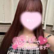 ヒメ日記 2025/09/29 18:46 投稿 ひかる 変態なんでも鑑定団