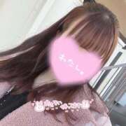 ヒメ日記 2025/10/27 22:37 投稿 ひかる 変態なんでも鑑定団