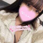 ヒメ日記 2026/01/12 00:05 投稿 ひかる 変態なんでも鑑定団