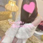 ヒメ日記 2026/02/07 12:17 投稿 ひかる 変態なんでも鑑定団