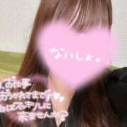 ヒメ日記 2026/03/11 20:24 投稿 ひかる 変態なんでも鑑定団