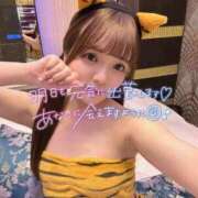 ヒメ日記 2026/05/08 02:16 投稿 ひかる 変態なんでも鑑定団