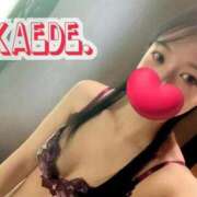 ヒメ日記 2025/12/29 23:36 投稿 かえで 変態なんでも鑑定団