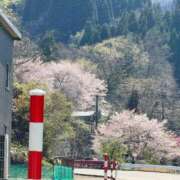 ヒメ日記 2025/03/27 21:03 投稿 つかさ 小田原人妻城