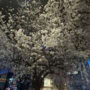 ヒメ日記 2025/03/28 23:51 投稿 ゆめ 池袋風俗 デブ専肉だんご