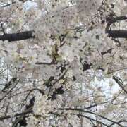 ヒメ日記 2025/03/31 00:01 投稿 ゆめ 池袋風俗 デブ専肉だんご