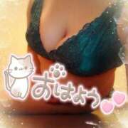 ヒメ日記 2024/12/29 10:50 投稿 あき 五反田サンキュー