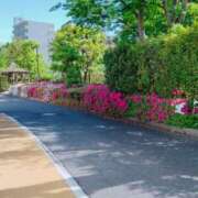 ヒメ日記 2025/04/24 09:50 投稿 あき 五反田サンキュー