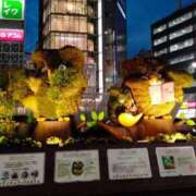 ヒメ日記 2025/10/03 19:09 投稿 あき 五反田サンキュー