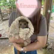 ヒメ日記 2025/08/23 11:11 投稿 みなみ (Minami) 出張メンズエステ RELAX【DIVAグループ】