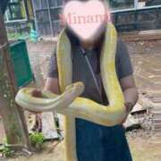 ヒメ日記 2025/08/23 12:12 投稿 みなみ (Minami) 出張メンズエステ RELAX【DIVAグループ】