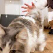 ヒメ日記 2025/12/28 16:52 投稿 みなみ (Minami) 出張メンズエステ RELAX【DIVAグループ】