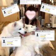 ヒメ日記 2026/03/28 18:12 投稿 みなみ (Minami) 出張メンズエステ RELAX【DIVAグループ】