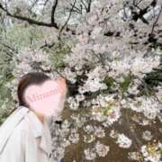 ヒメ日記 2026/04/17 12:06 投稿 みなみ (Minami) 出張メンズエステ RELAX【DIVAグループ】