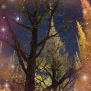 ヒメ日記 2024/12/19 20:34 投稿 みあ (Mia) 出張メンズエステ RELAX【DIVAグループ】