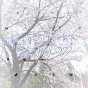 ヒメ日記 2025/04/10 22:03 投稿 みあ (Mia) 出張メンズエステ RELAX【DIVAグループ】