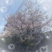 ヒメ日記 2025/05/20 19:26 投稿 みあ (Mia) 出張メンズエステ RELAX【DIVAグループ】