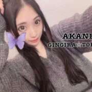 ヒメ日記 2024/02/03 22:04 投稿 AKANE GINGIRA☆TOKYO～ギンギラ東京～