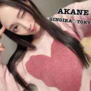 ヒメ日記 2024/03/23 11:47 投稿 AKANE GINGIRA☆TOKYO～ギンギラ東京～