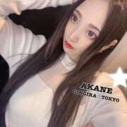 ヒメ日記 2024/04/01 08:50 投稿 AKANE GINGIRA☆TOKYO～ギンギラ東京～