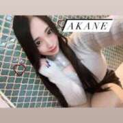 ヒメ日記 2024/04/12 13:21 投稿 AKANE GINGIRA☆TOKYO～ギンギラ東京～